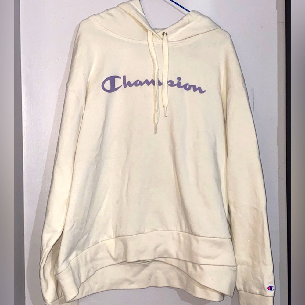 Champion Fleece Sweater